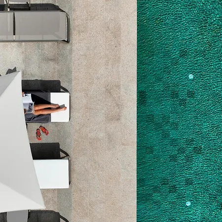 Ms Collection - Mosteiro De 阿鲁卡